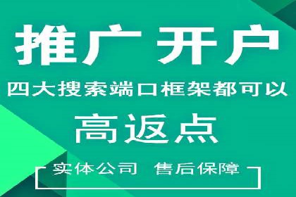 竞价SEM托管服务：成功案例揭秘